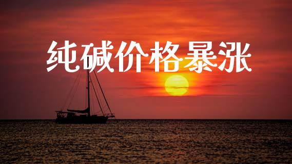 纯碱价格暴涨_https://www.fsyjjx.cn_期货研报_第1张