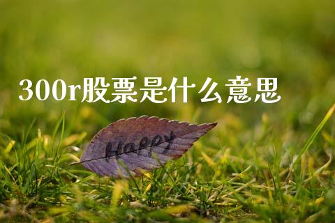 300r股票是什么意思_https://www.fsyjjx.cn_股票指导_第1张