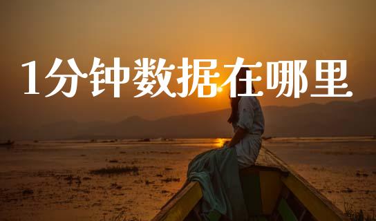 1分钟数据在哪里_https://www.fsyjjx.cn_期货在线_第1张