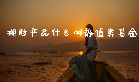 理财产品什么叫静值类基金_https://www.fsyjjx.cn_理财资讯_第1张