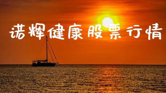 诺辉健康股票行情_https://www.fsyjjx.cn_股市分析_第1张