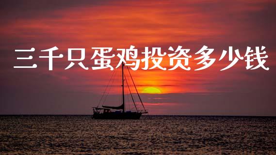 三千只蛋鸡投资多少钱_https://www.fsyjjx.cn_期货资讯_第1张