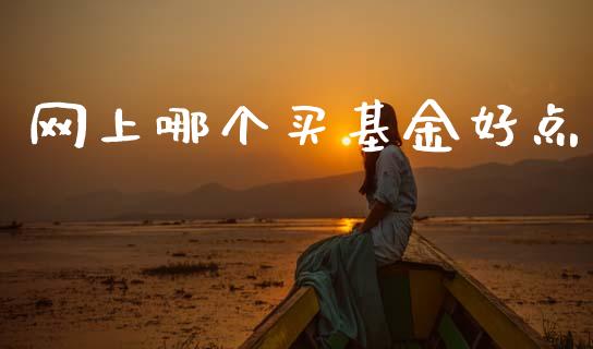 网上哪个买基金好点_https://www.fsyjjx.cn_期货资讯_第1张