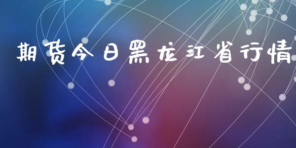 期货今日黑龙江省行情_https://www.fsyjjx.cn_期货资讯_第1张