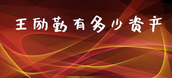 王励勤有多少资产_https://www.fsyjjx.cn_期货在线_第1张
