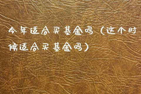 今年适合买基金吗（这个时候适合买基金吗）_https://www.fsyjjx.cn_问财精选_第1张