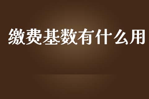 缴费基数有什么用_https://www.fsyjjx.cn_股市分析_第1张