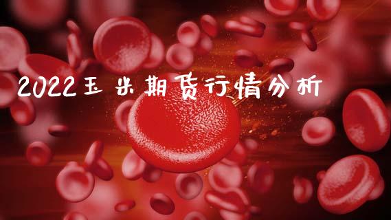 2022玉米期货行情分析_https://www.fsyjjx.cn_期货研报_第1张