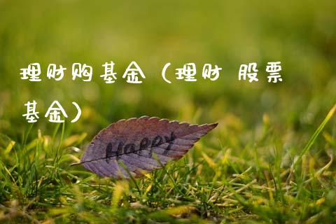 理财购基金（理财 股票 基金）_https://www.fsyjjx.cn_理财资讯_第1张