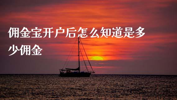 佣金宝开户后怎么知道是多少佣金_https://www.fsyjjx.cn_股市分析_第1张