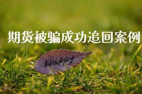 期货被骗成功追回案例_https://www.fsyjjx.cn_期货研报_第1张