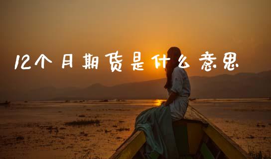 12个月期货是什么意思_https://www.fsyjjx.cn_股市分析_第1张