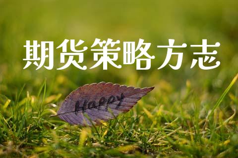 期货策略方志_https://www.fsyjjx.cn_期货资讯_第1张
