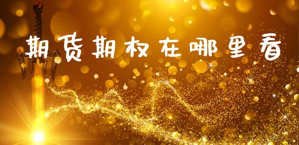 期货期权在哪里看_https://www.fsyjjx.cn_期货研报_第1张