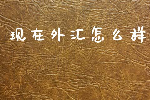 现在外汇怎么样_https://www.fsyjjx.cn_期货在线_第1张