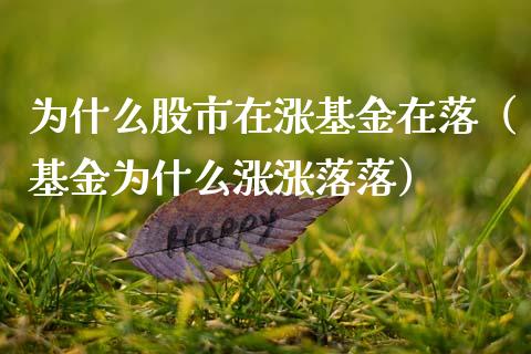 为什么股市在涨基金在落（基金为什么涨涨落落）_https://www.fsyjjx.cn_理财资讯_第1张