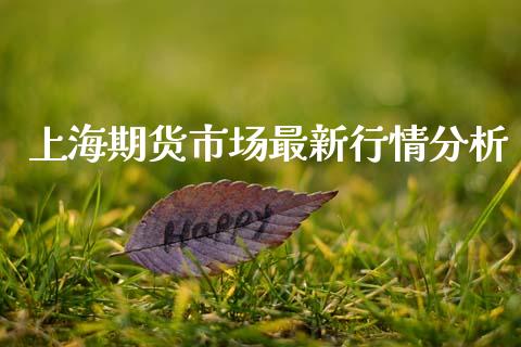 上海期货市场最新行情分析_https://www.fsyjjx.cn_期货资讯_第1张