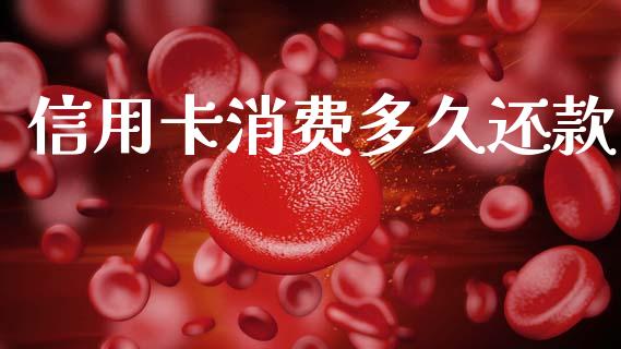 信用卡消费多久还款_https://www.fsyjjx.cn_期货研报_第1张