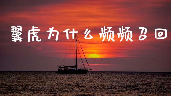 翼虎为什么频频召回_https://www.fsyjjx.cn_问财精选_第1张