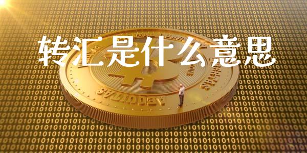 转汇是什么意思_https://www.fsyjjx.cn_期货在线_第1张