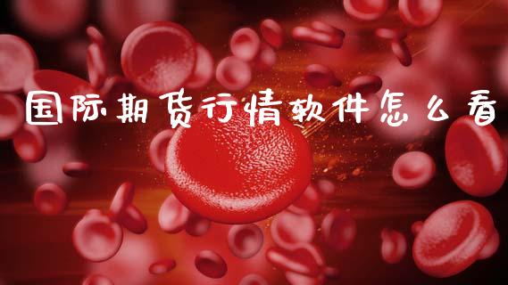 国际期货行情软件怎么看_https://www.fsyjjx.cn_期货研报_第1张