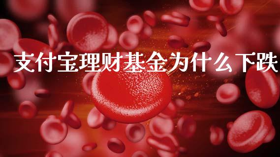 支付宝理财基金为什么下跌_https://www.fsyjjx.cn_问财精选_第1张