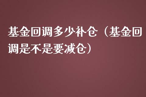 基金回调多少补仓（基金回调是不是要减仓）_https://www.fsyjjx.cn_理财资讯_第1张