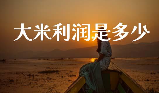 大米利润是多少_https://www.fsyjjx.cn_期货资讯_第1张