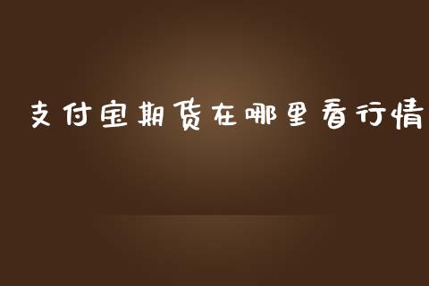 支付宝期货在哪里看行情_https://www.fsyjjx.cn_期货研报_第1张
