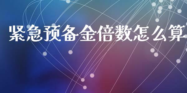 紧急预备金倍数怎么算_https://www.fsyjjx.cn_期货资讯_第1张