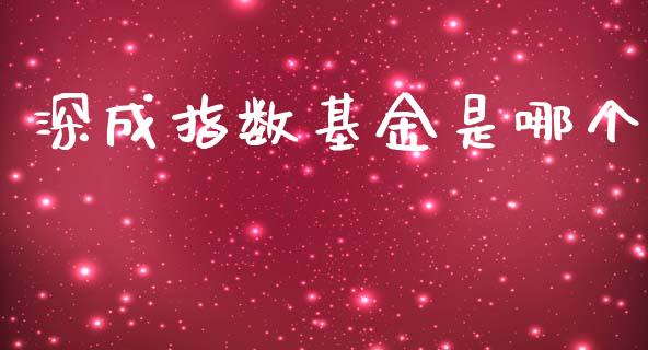 深成指数基金是哪个_https://www.fsyjjx.cn_期货在线_第1张