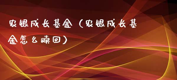 农银成长基金（农银成长基金怎么赎回）_https://www.fsyjjx.cn_问财精选_第1张