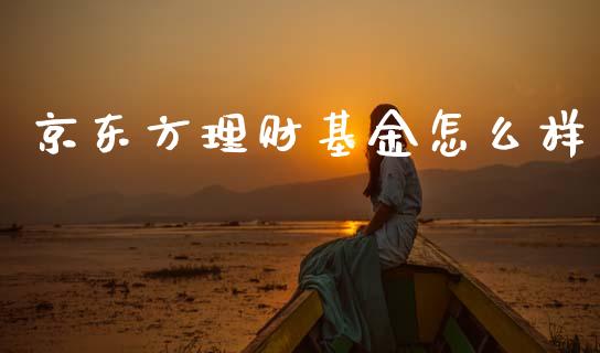 京东方理财基金怎么样_https://www.fsyjjx.cn_问财精选_第1张