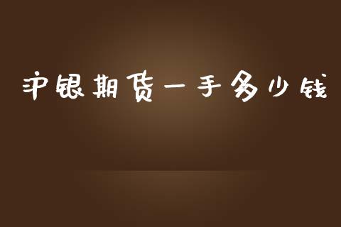沪银期货一手多少钱_https://www.fsyjjx.cn_股指期货_第1张