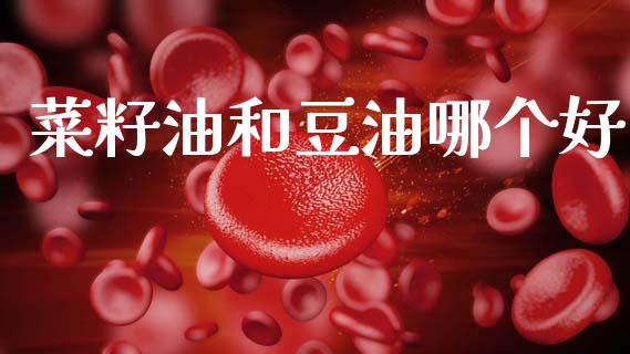 菜籽油和豆油哪个好_https://www.fsyjjx.cn_期货研报_第1张