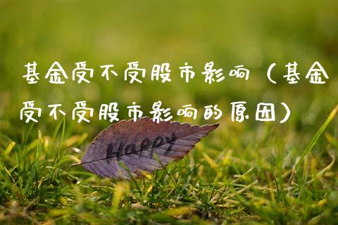 基金受不受股市影响（基金受不受股市影响的原因）_https://www.fsyjjx.cn_问财精选_第1张