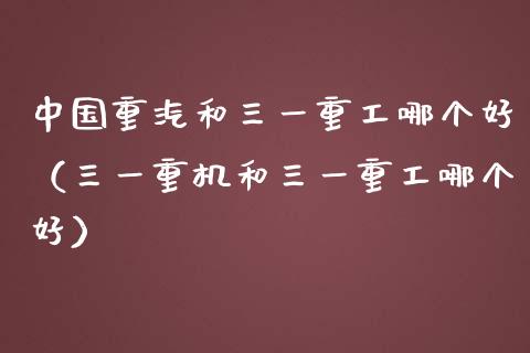 中国重汽和三一重工哪个好（三一重机和三一重工哪个好）_https://www.fsyjjx.cn_股市分析_第1张