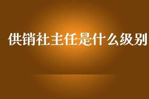 供销社主任是什么级别_https://www.fsyjjx.cn_股指期货_第1张