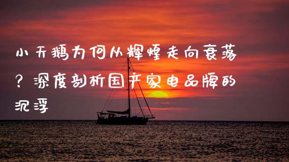 小天鹅为何从辉煌走向衰落？深度剖析国产家电品牌的沉浮_https://www.fsyjjx.cn_期货资讯_第1张