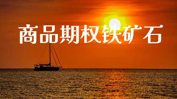 商品期权铁矿石_https://www.fsyjjx.cn_期货资讯_第1张