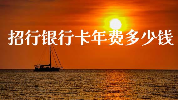 招行银行卡年费多少钱_https://www.fsyjjx.cn_理财资讯_第1张