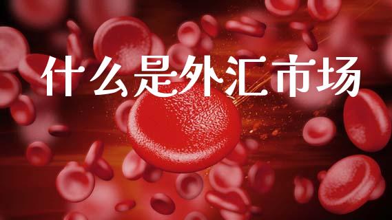 什么是外汇市场_https://www.fsyjjx.cn_期货资讯_第1张
