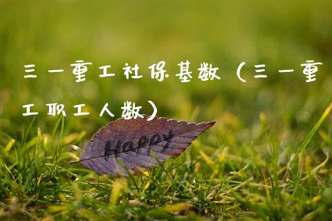 三一重工社保基数（三一重工职工人数）_https://www.fsyjjx.cn_股市分析_第1张
