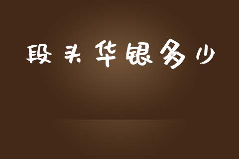 段头华银多少_https://www.fsyjjx.cn_股票指导_第1张