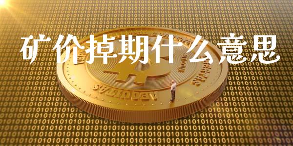 矿价掉期什么意思_https://www.fsyjjx.cn_期货研报_第1张