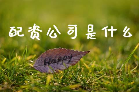配资公司是什么_https://www.fsyjjx.cn_期货研报_第1张