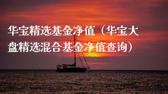 华宝精选基金净值（华宝大盘精选混合基金净值查询）_https://www.fsyjjx.cn_问财精选_第1张