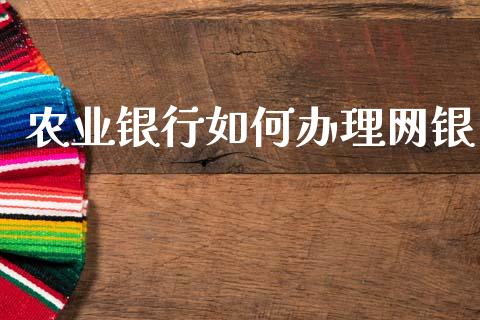 农业银行如何办理网银_https://www.fsyjjx.cn_问财精选_第1张