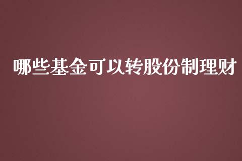 哪些基金可以转股份制理财_https://www.fsyjjx.cn_理财资讯_第1张