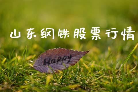 山东纲铁股票行情_https://www.fsyjjx.cn_股市分析_第1张